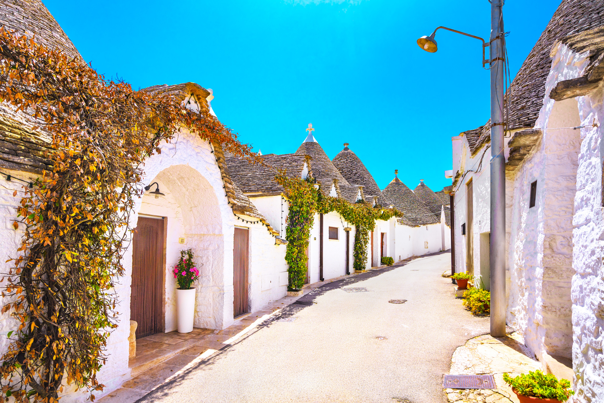 Trulli of Alberobello typical houses. Apulia, Italy.